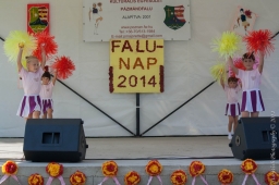 falunap2014_4_20180901